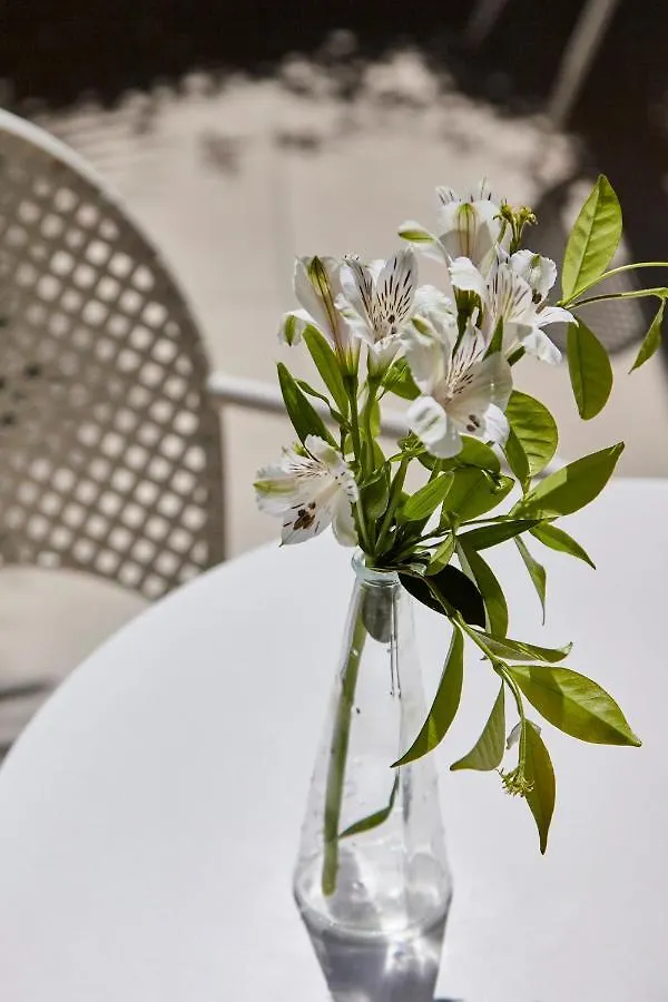 Hotel La Fenice Rimini